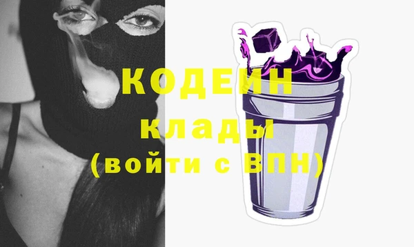 дживик Кострома