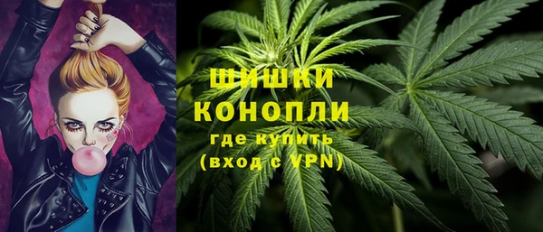 хмурый Кодинск